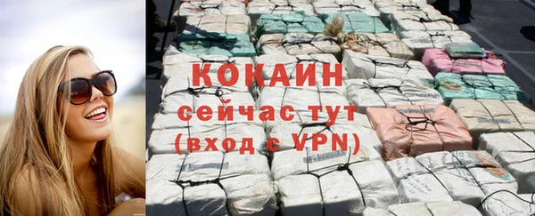 шишки Железногорск-Илимский