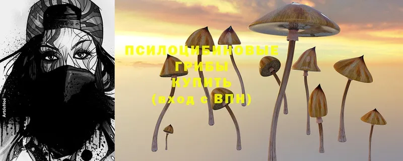 Псилоцибиновые грибы Psilocybe  хочу наркоту  KRAKEN ТОР  Багратионовск 